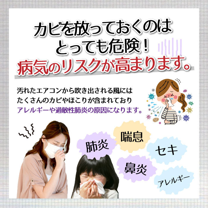 エアコンカビトルデス 車用 80mL