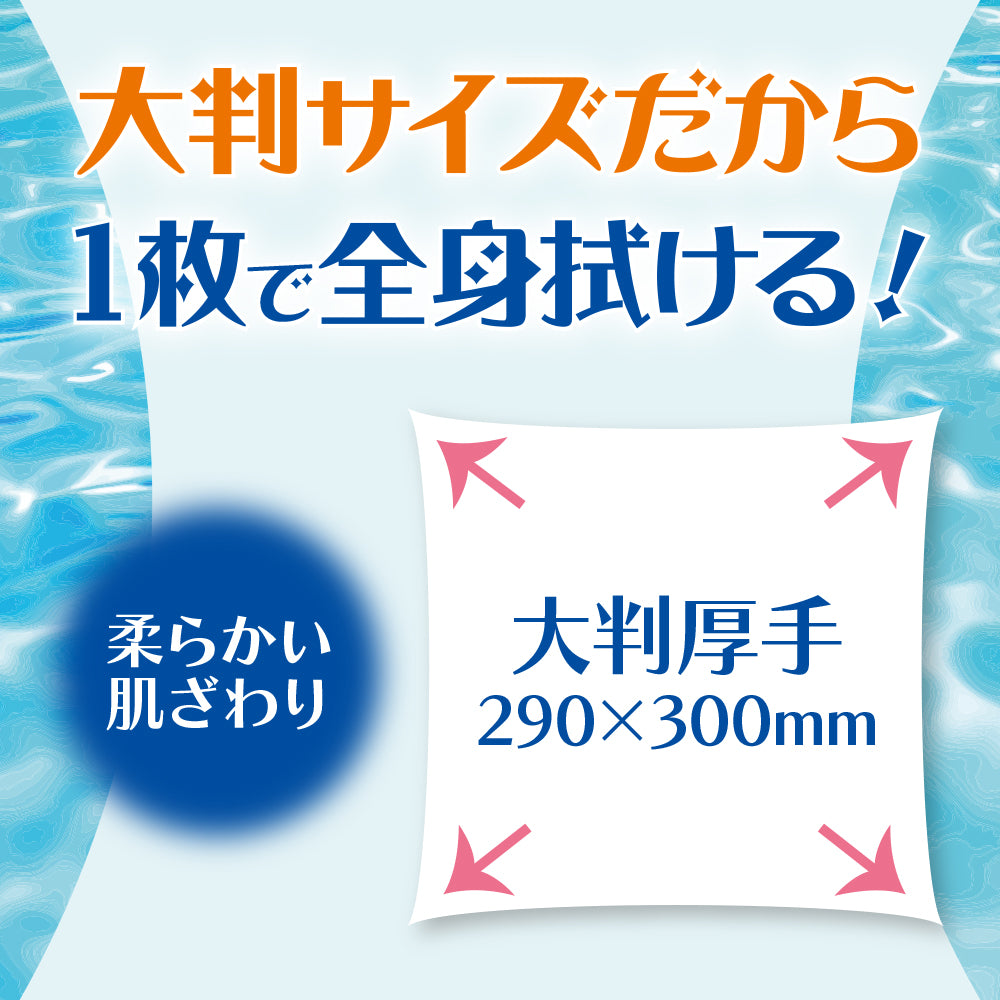 【新商品】ボディーシャワータオル CooL 32枚入