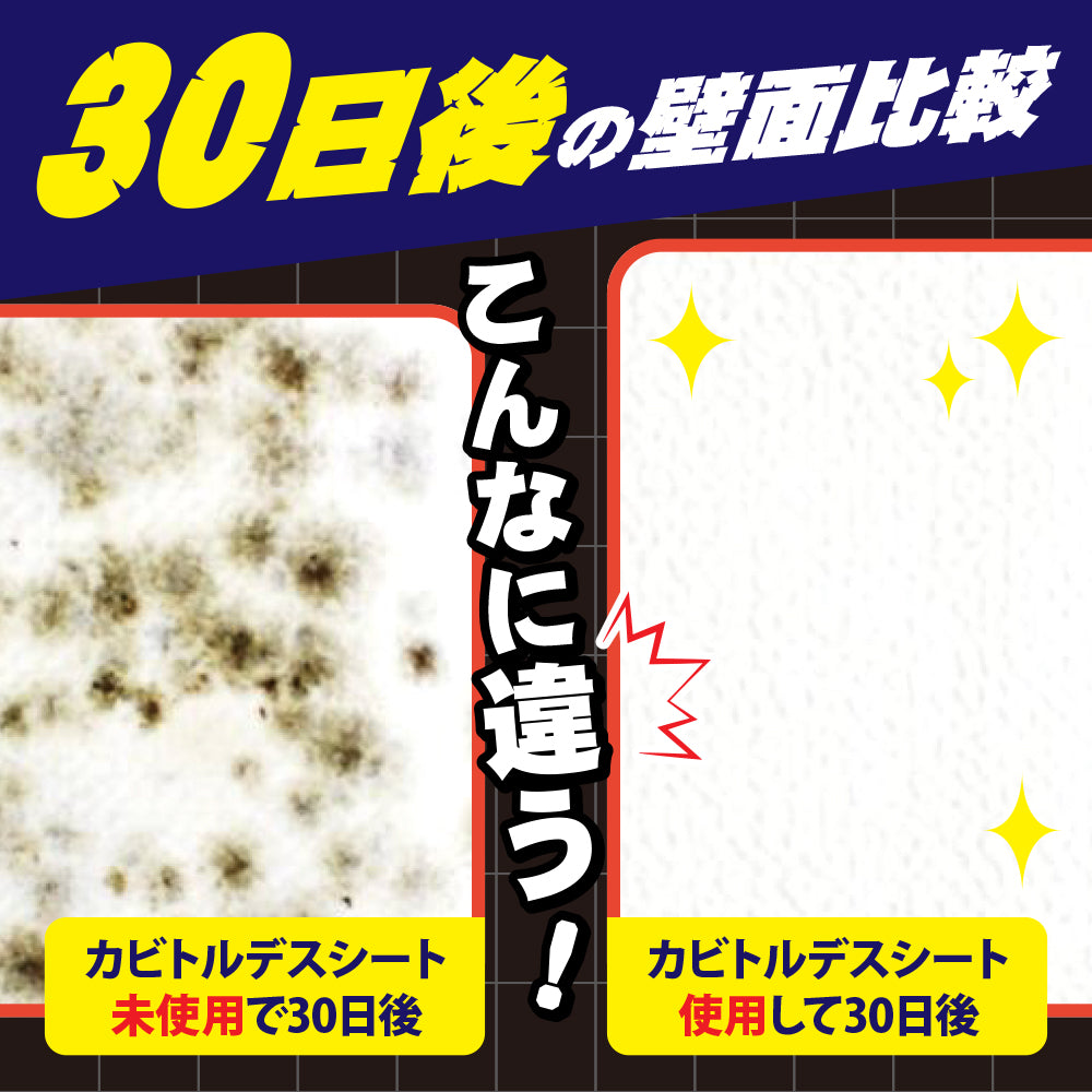 カビトルデス洗浄＆防カビシート20枚入